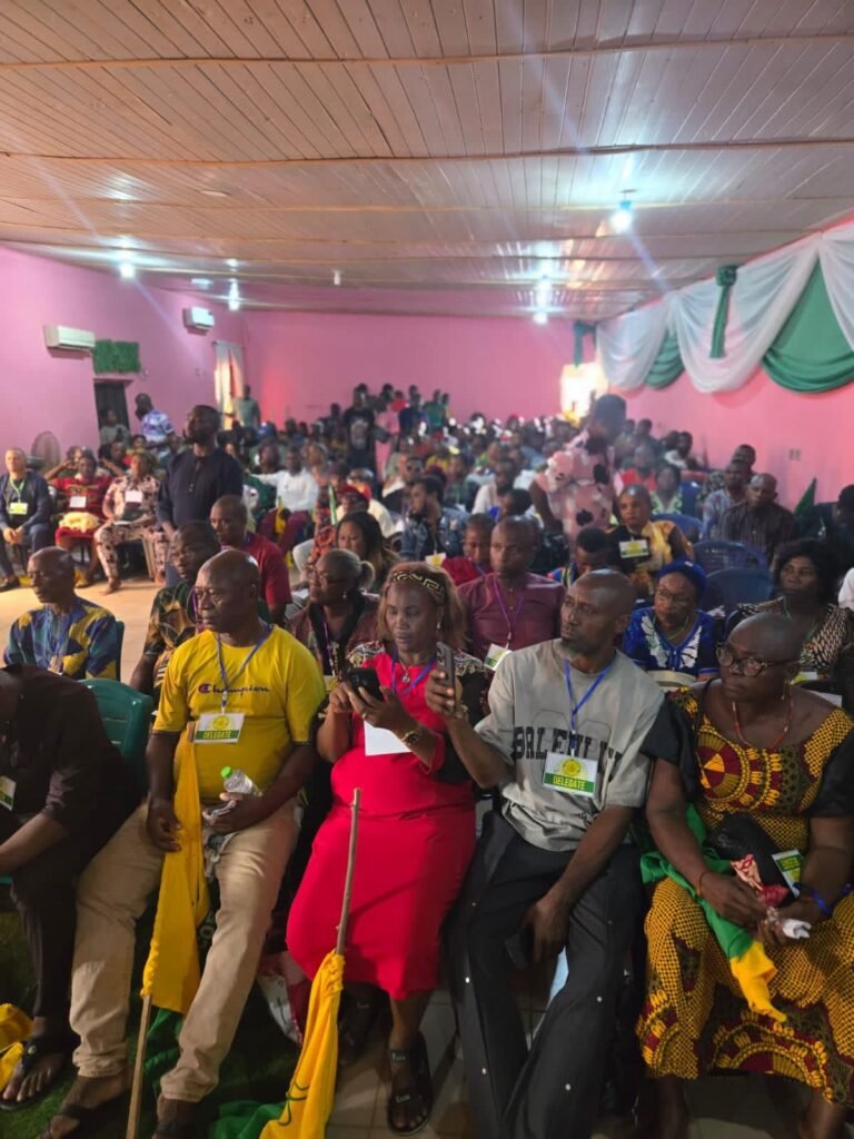 Onyeeze, Houston-Based Billionaire Wins Accord Ticket for Anambra Governorship Contest 8 img 20250409 wa00186244139088100836294