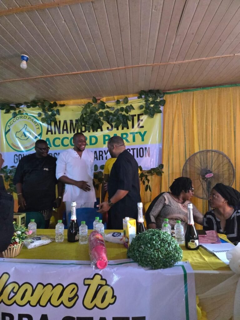 Onyeeze, Houston-Based Billionaire Wins Accord Ticket for Anambra Governorship Contest 4 img 20250409 wa00353709168514422121227