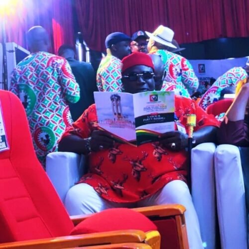 Chief Dr. Emeka Kalu Hails Labour Party 2026 Convention, Backs New National Leadership