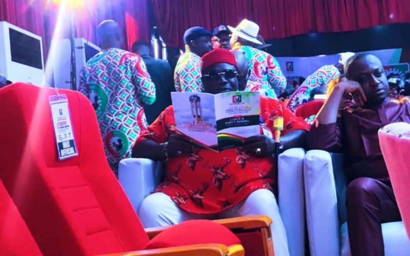 Chief Dr. Emeka Kalu Hails Labour Party 2026 Convention, Backs New National Leadership